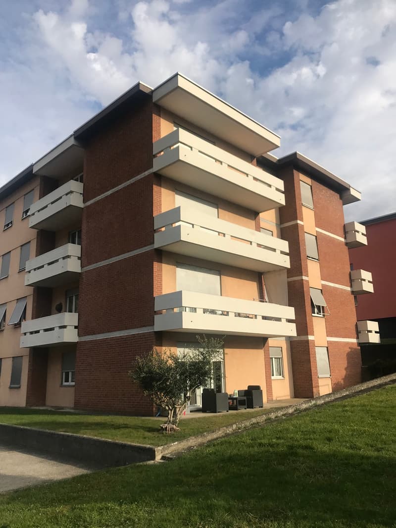 AFFITTASI AD ARBEDO AMPIO MONOLOCALE AL PT (1)