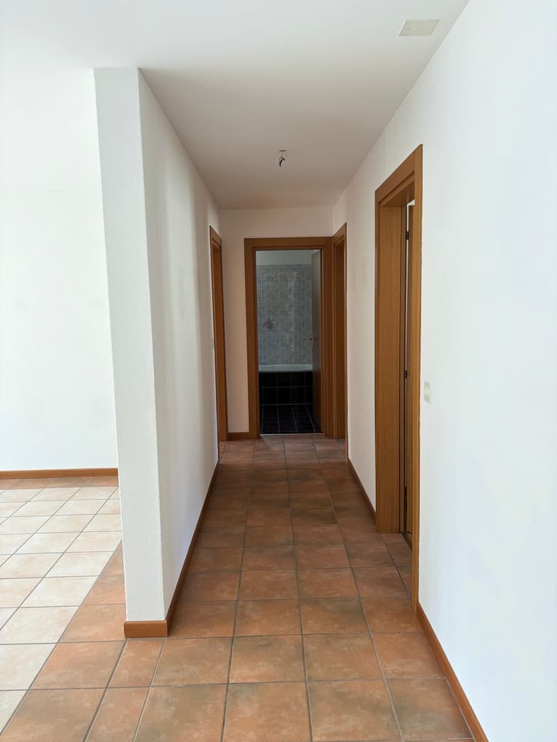 Vendesi due luminosi appartamenti/studi di 4 locali ciascuno - Mesocco (9)