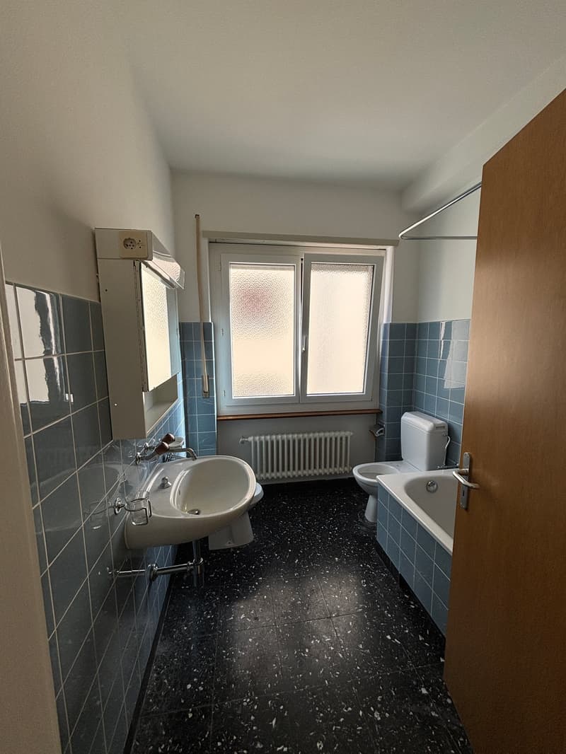 AFFITTASI LUMINOSO APPARTAMENTO DI 2.5 LOCALI - BELLINZONA CENTRO (10)