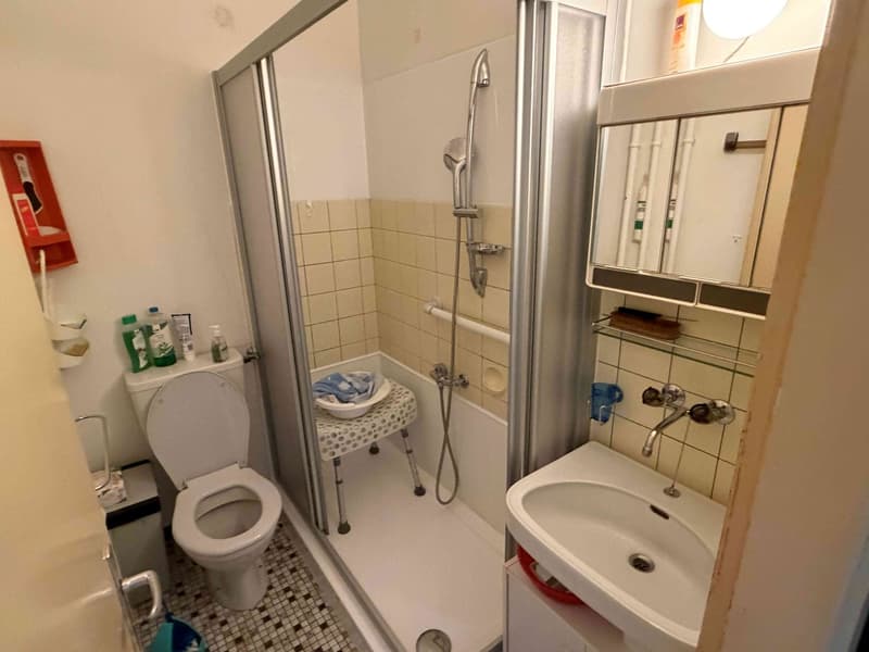 VENDESI APPARTAMENTO 3.5 LOCALI - BELLINZONA (10)