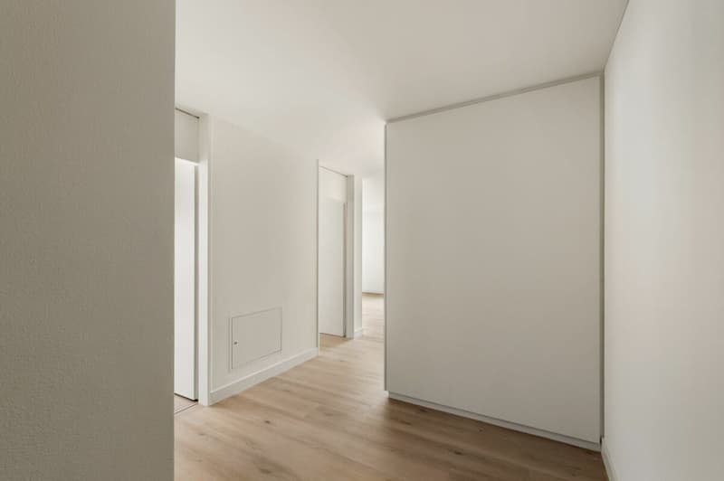 8700, Biasca, Via San Gottardo 40, appartamento 4005 (3)