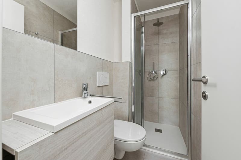 9100, Solatia 1, Lugano, Corso Elvezia, student room 311-EN (5)