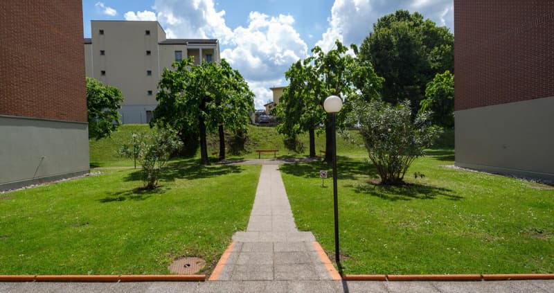 0100, Mendrisio, Via Borromini 19, appartamento no. 301 (11)