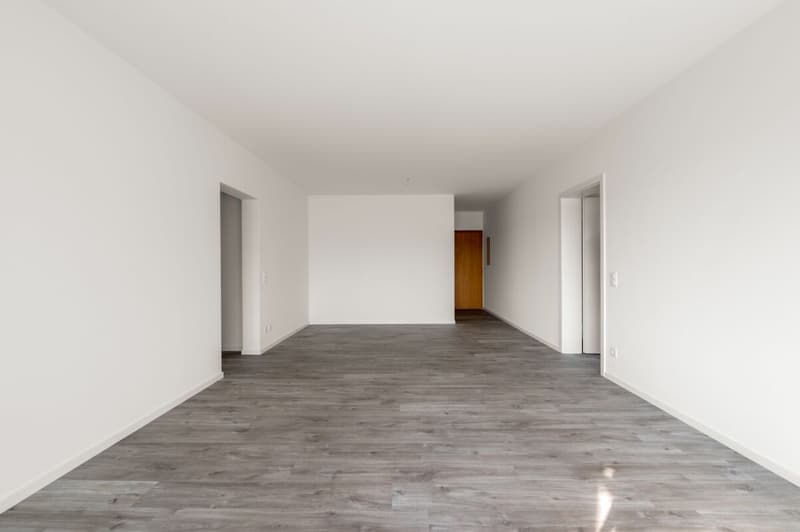 0100, Mendrisio, Via Borromini 19, appartamento no. 301 (5)