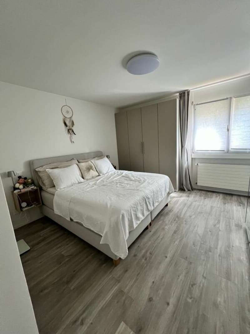 100, Mendrisio, Via Borromini 21, appartamento 413 (9)