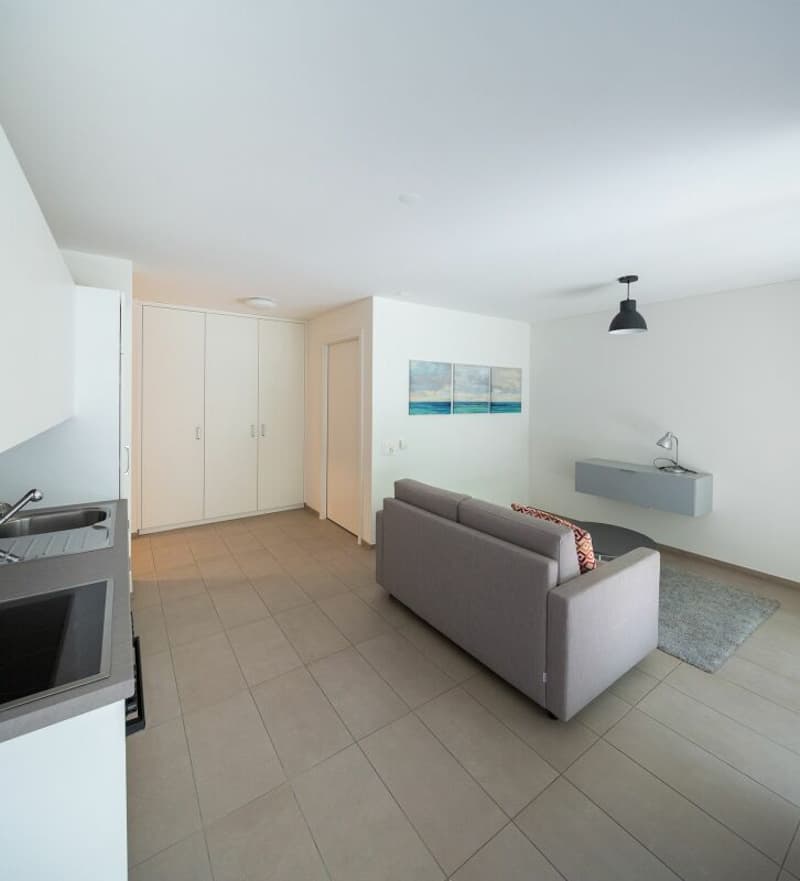 0090,Gordola,Residenza al Riale C copia, appartamento no.0205 (5)