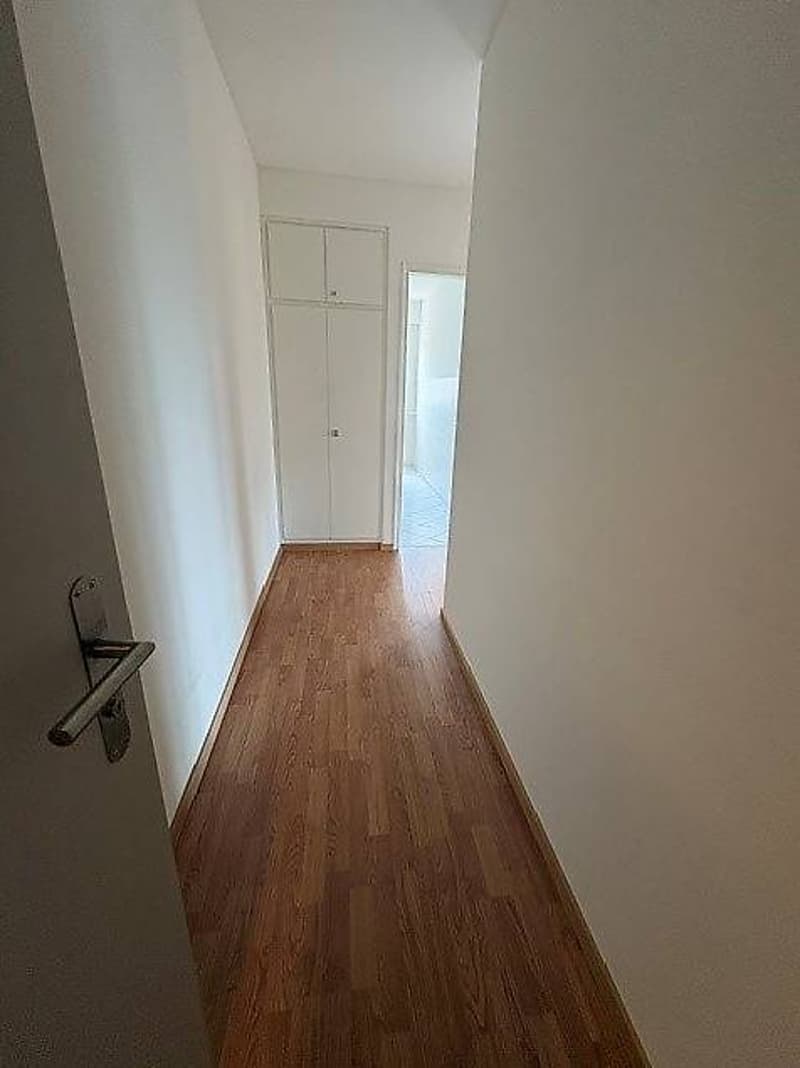 Appartamento 2.5 locali al 1 piano (3)