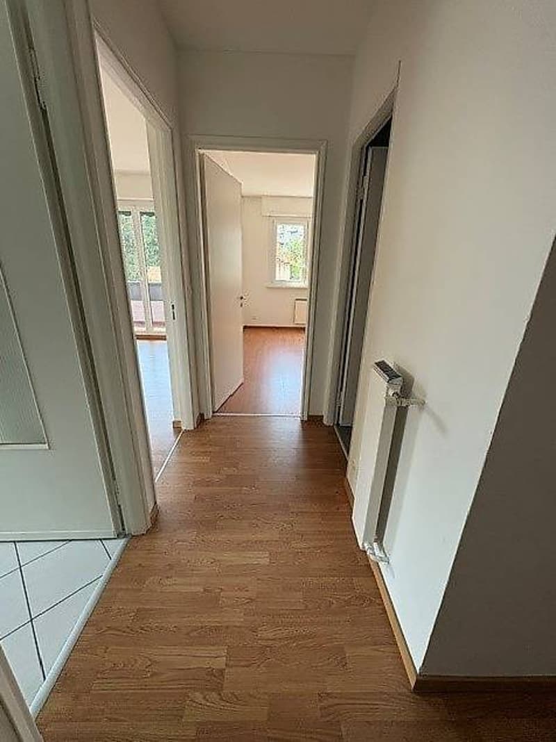 Appartamento 2.5 locali al 1 piano (4)