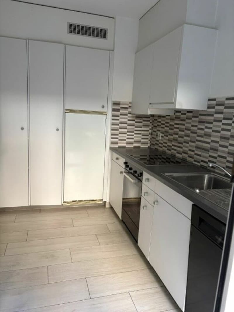 0100, Mendrisio, Via Borromini 19, appartamento no. 301 (3)