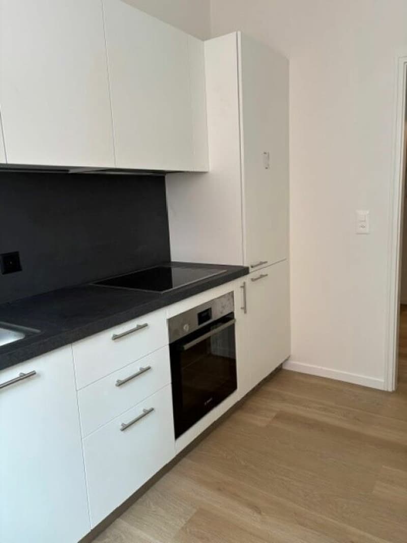 8900 Chiasso, Via G. Guisan 21, appartamento no. 2115 (1)