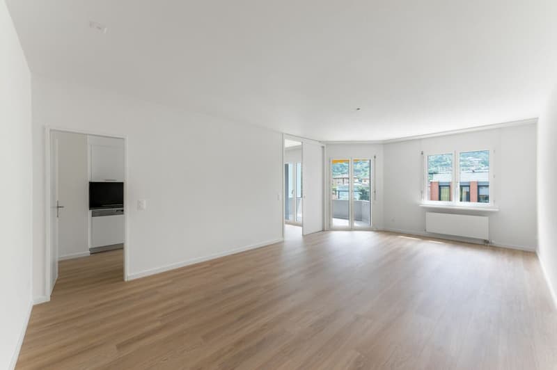 2100, Via Pizzo di Claro 21, appartamento 424 (3)