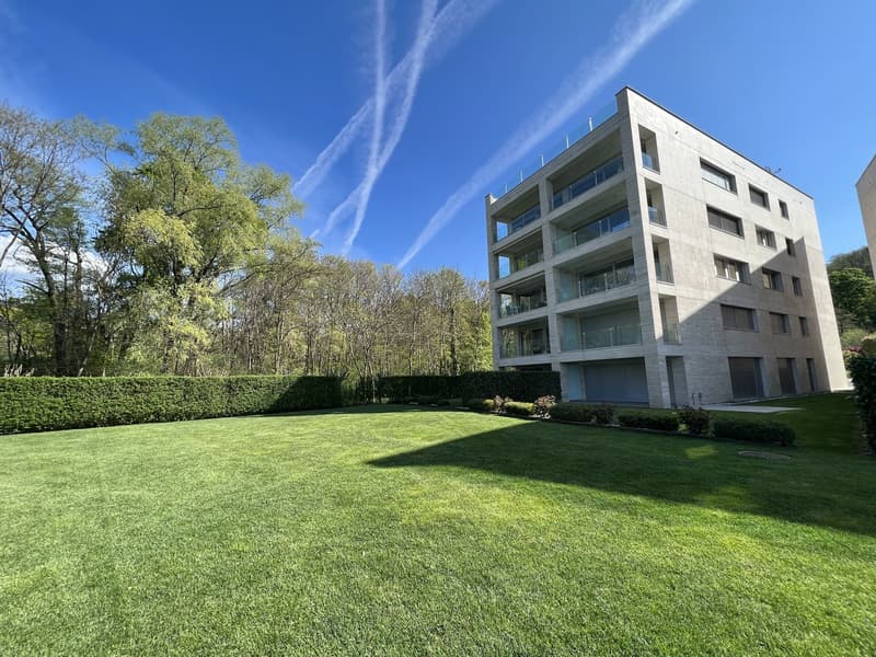 LUGANO-MUZZANO, FRONTE LAGO APPARTAMENTO 2.5 LOCALI CON GIARDINO (3)