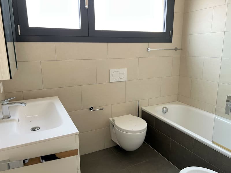 LUGANO-MOLINO NUOVO Appartamento 3.5 locali (6)