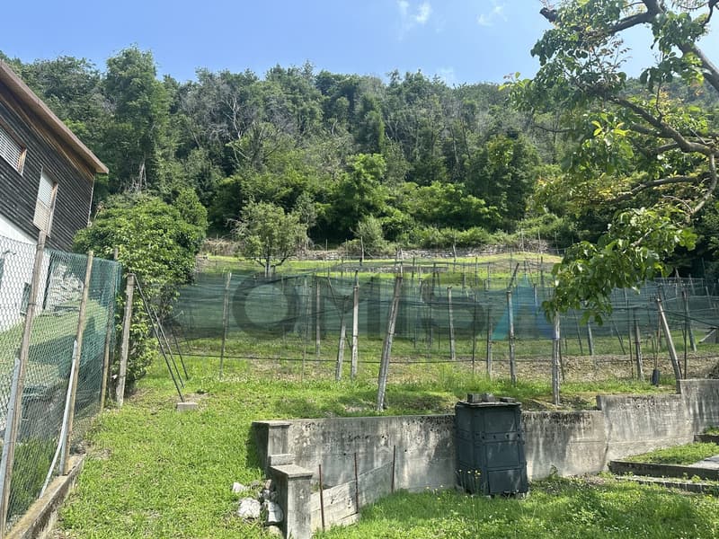 CASTEL SAN PIETRO - OBINO Terreno edificabile con rustico (2)