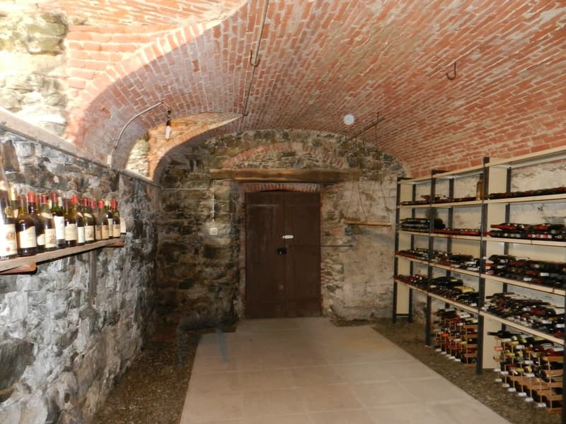 LUGAGGIA-CAPRIASCA VILLA BIFAMILIARE (3)