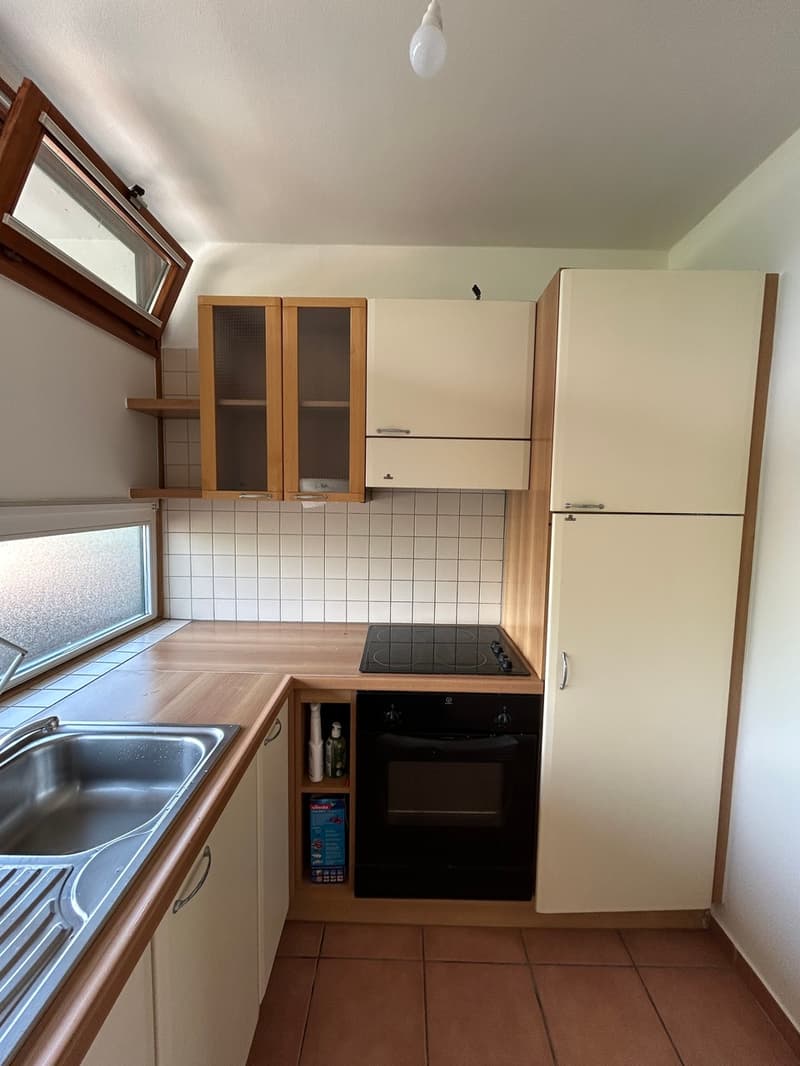 SORENGO APPARTAMENTO 2.5 LOCALI IN AFFITTO (9)
