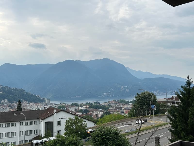 A Lugano, affittiamo appartamenti di 3.5 locali (7)