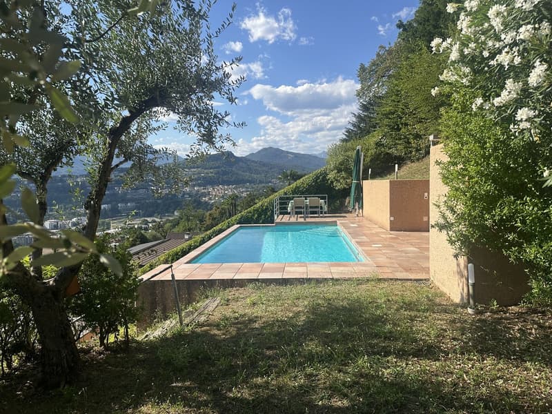 piscina con giardino / Schwimmbad mit Garten / swimming pool with a garden