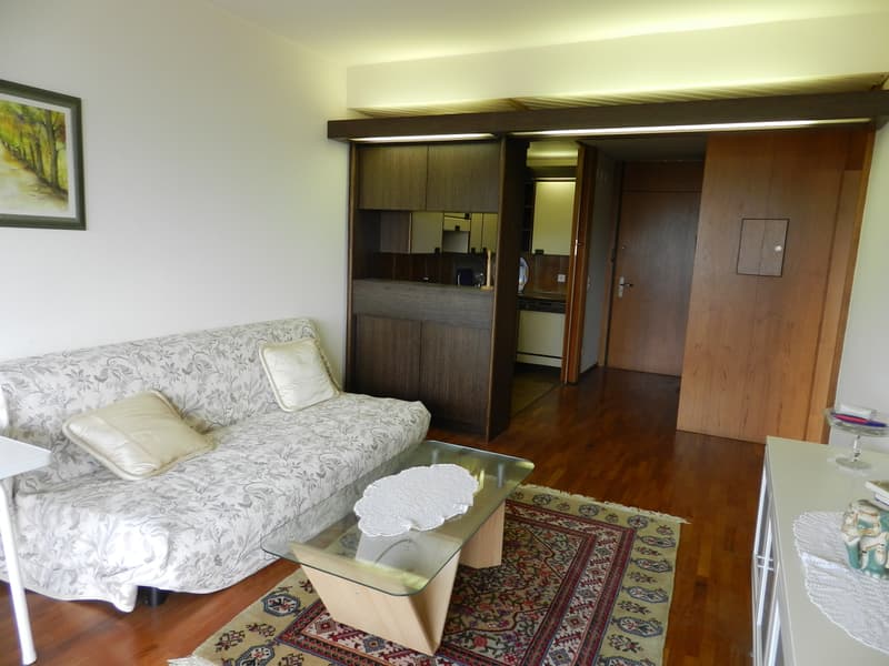 CASSARATE-CASTAGNOLA Appartamento 2.5 locali ammobiliato vista lago (2)