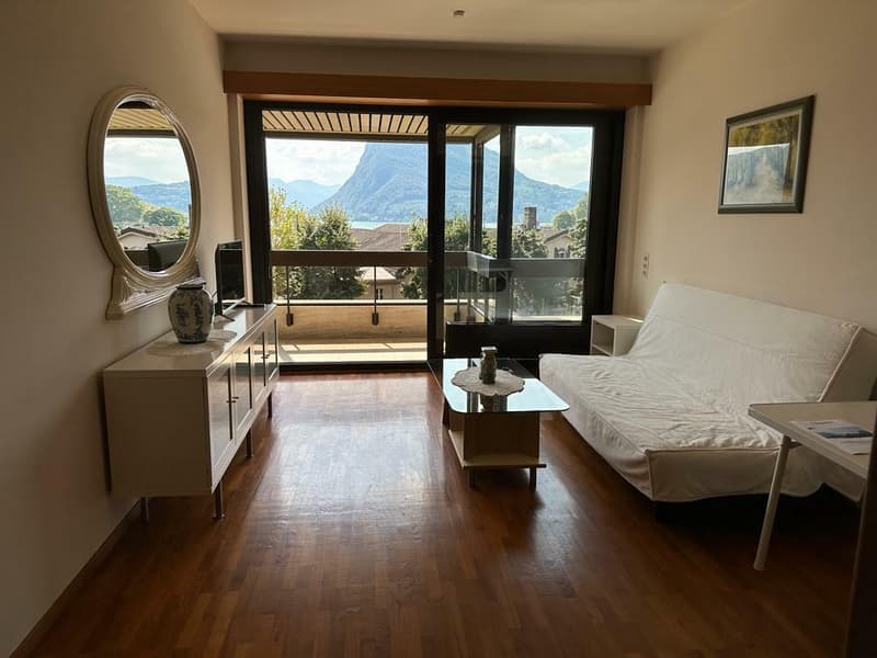 CASSARATE-CASTAGNOLA Appartamento 2.5 locali ammobiliato vista lago (3)