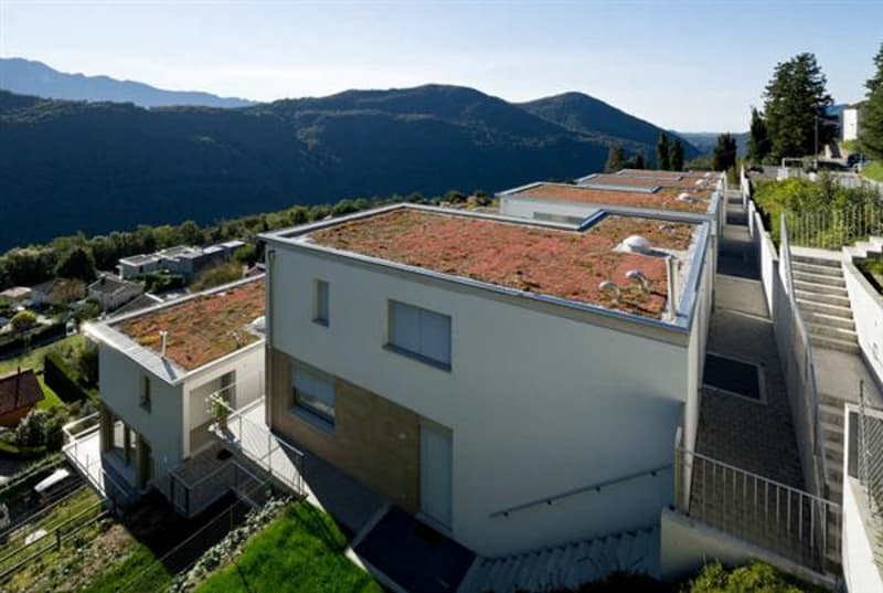Esterno