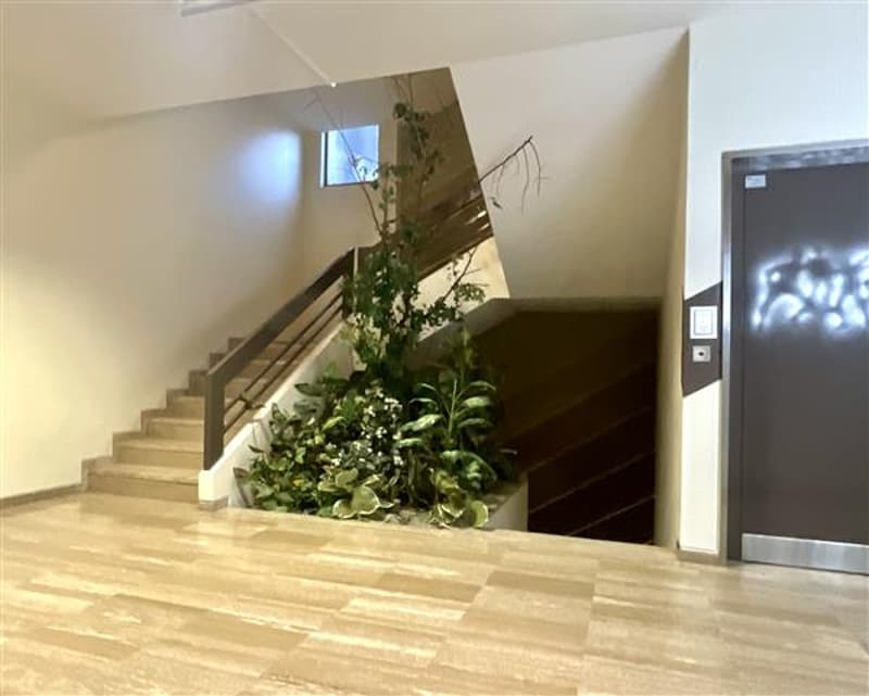 Ingresso