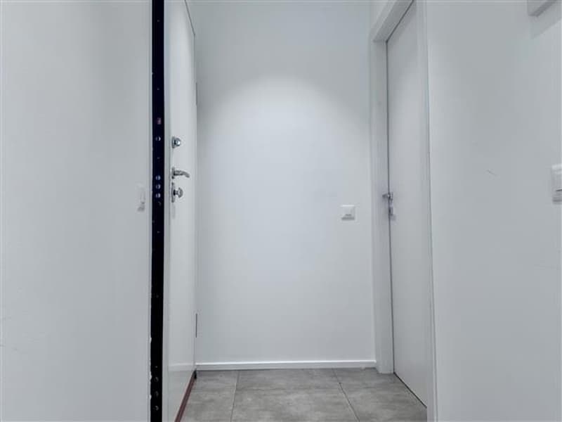 Ingresso