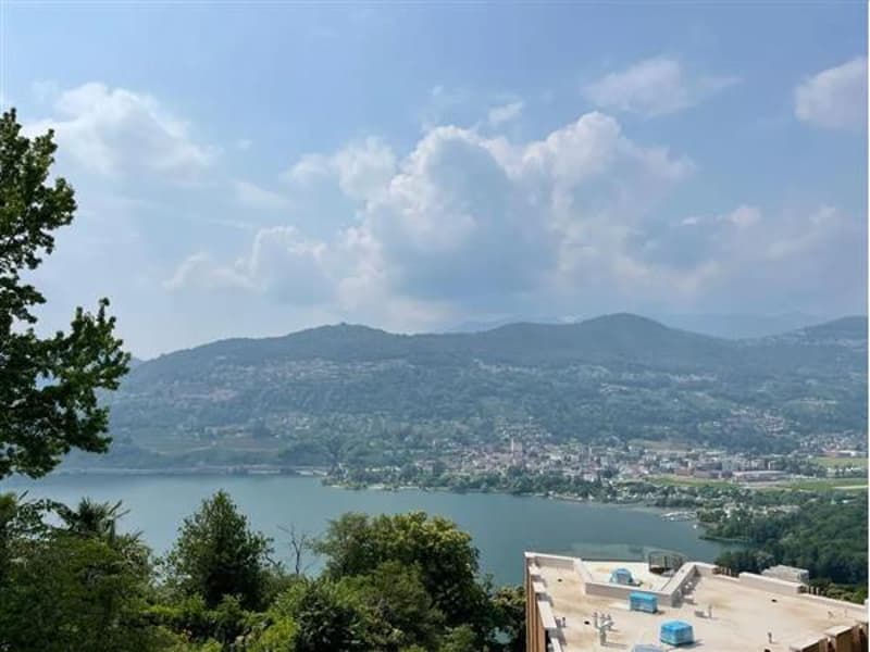 Vista