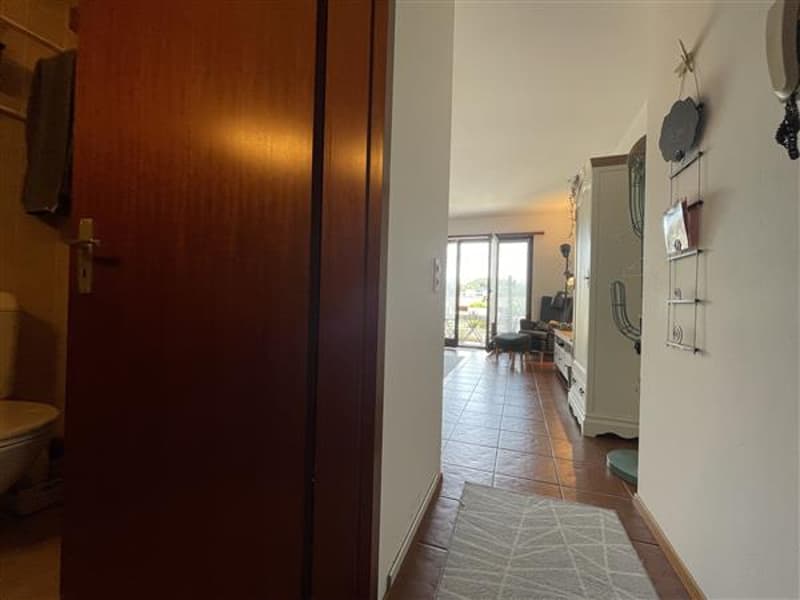 Ingresso