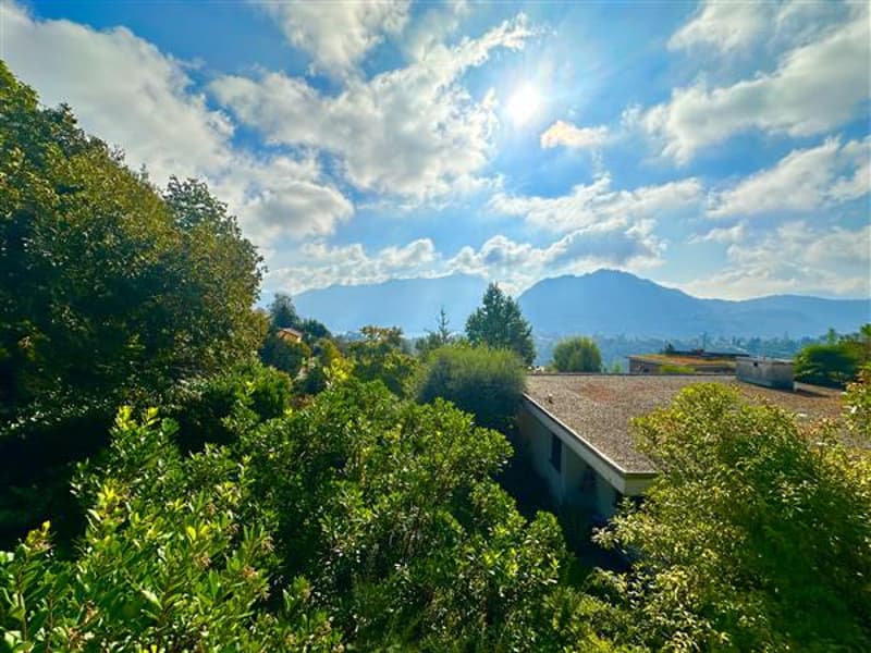 Vista