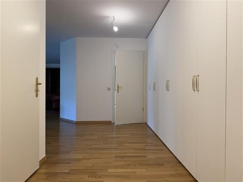 Ingresso