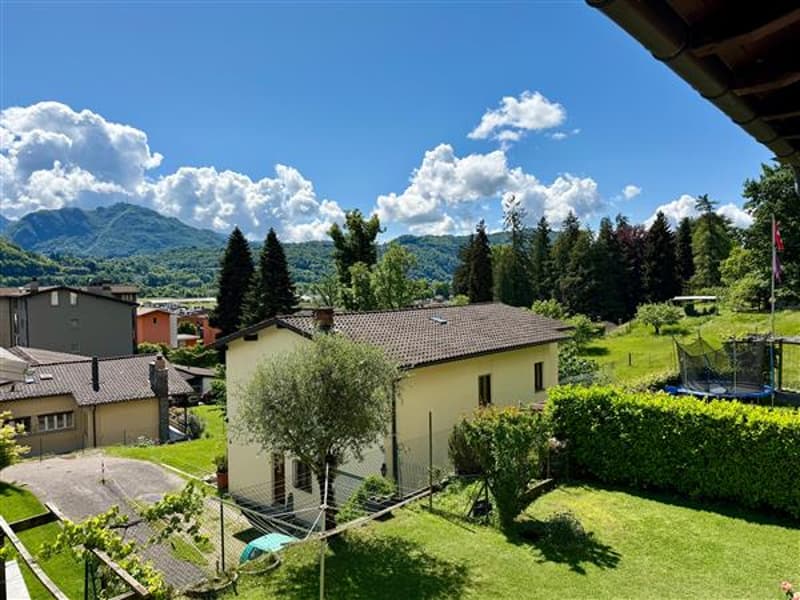 Vista