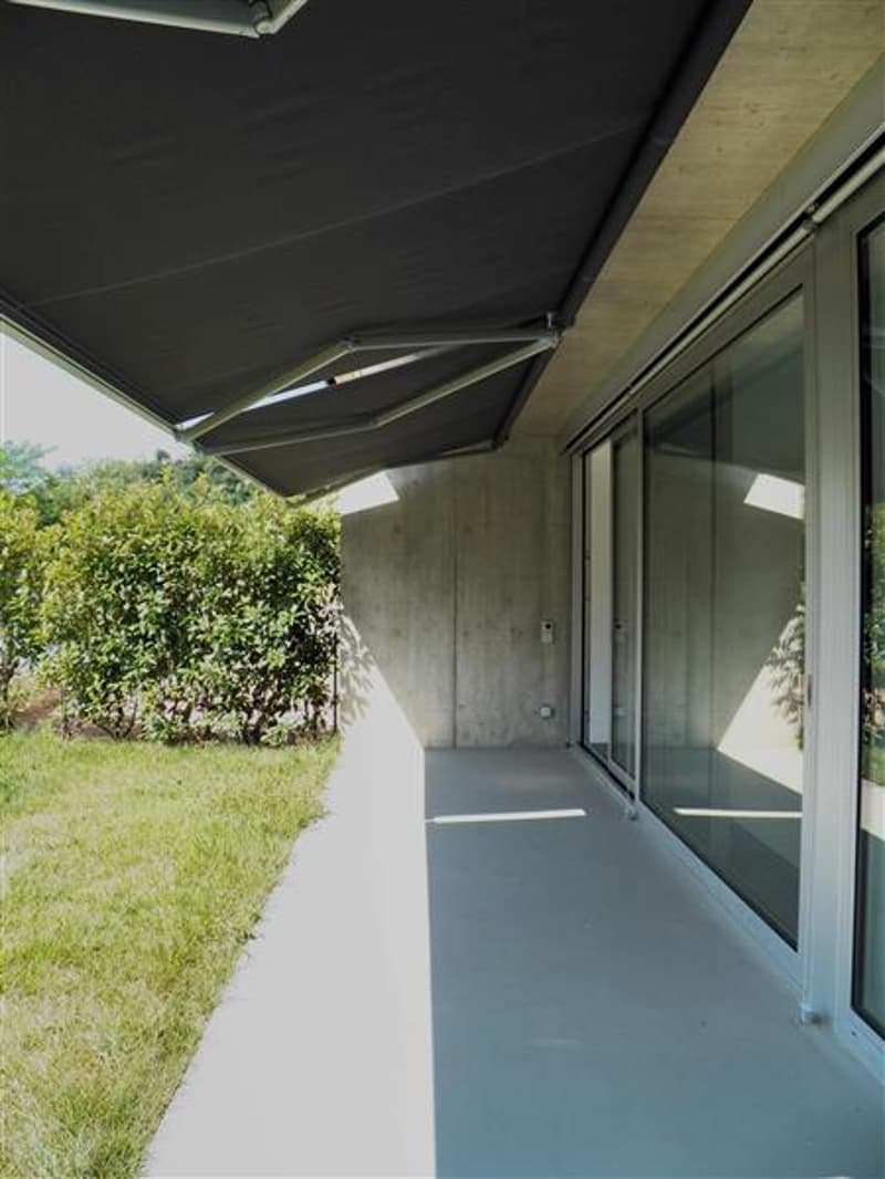 Ingresso