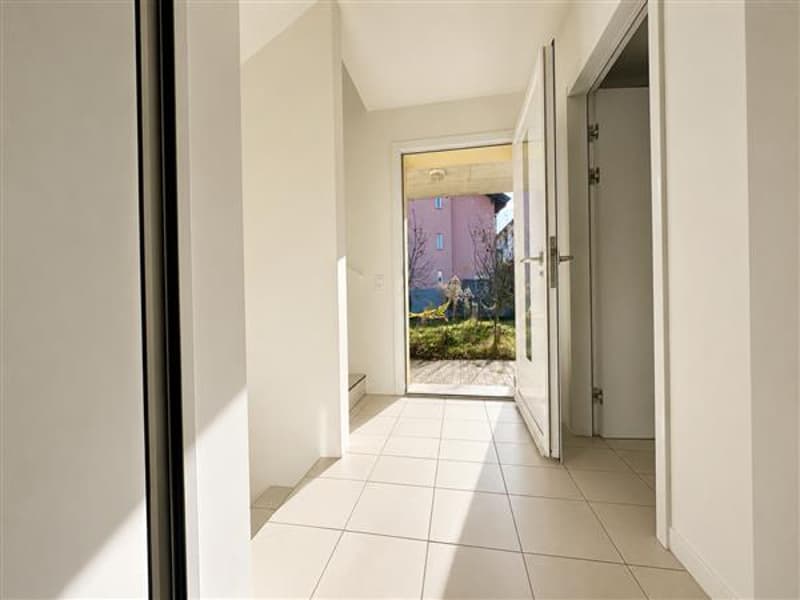 Ingresso