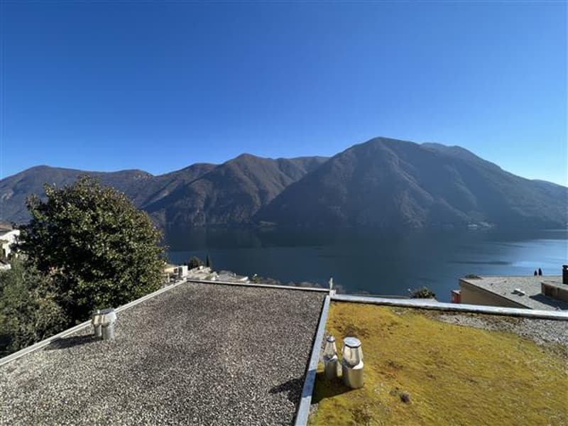 Vista