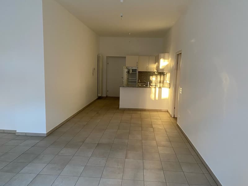 Appartamento 2.5 locali - Lugano (3)