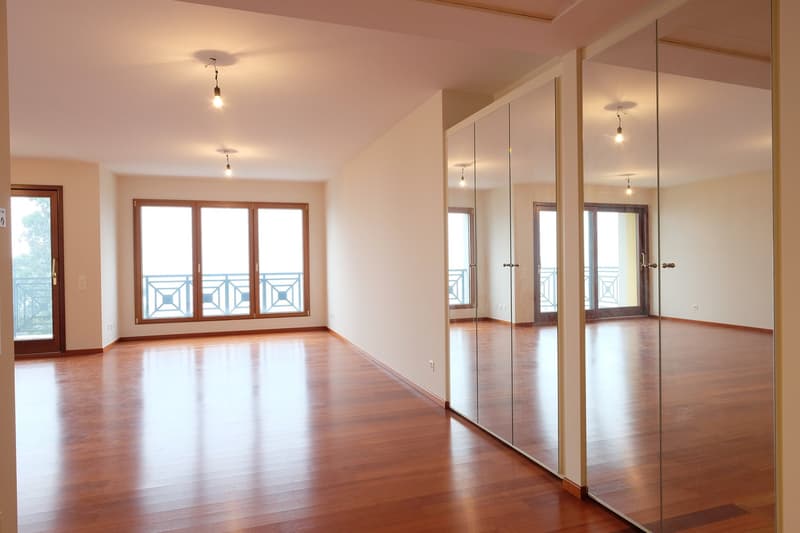 Affittasi appartamento di alto standing, lungolago Lugano al 3° piano (15)