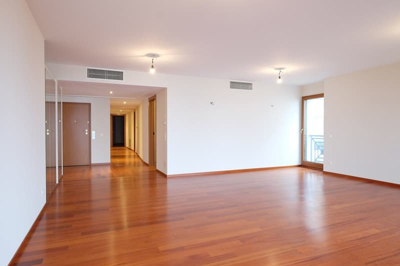 Affittasi appartamento di alto standing, lungolago Lugano al 3° piano (17)