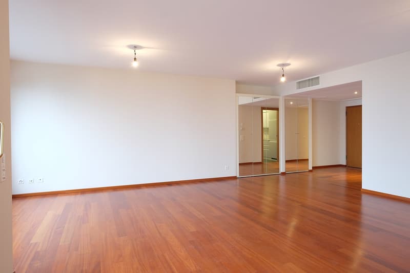 Affittasi appartamento di alto standing, lungolago Lugano al 3° piano (18)