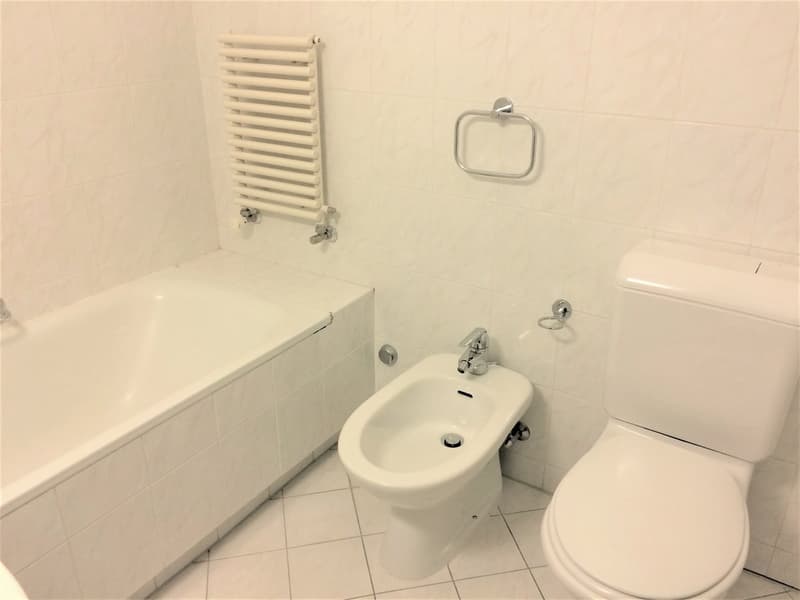 Residenza Holtania - Lugano Besso (7)