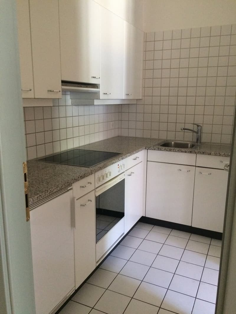 Residenza Holtania - Lugano Besso (5)