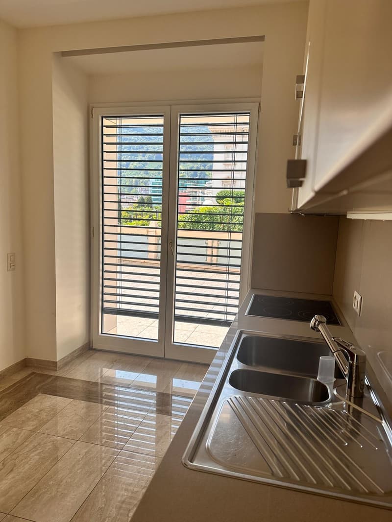 Affittasi appartamento di alto standing, lungolago Lugano al 3° Piano (14)