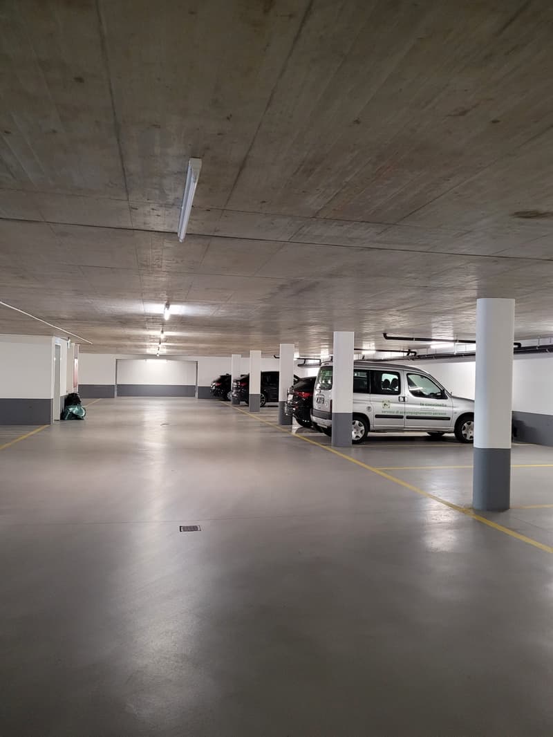 Begli appartamenti soleggiati (12)