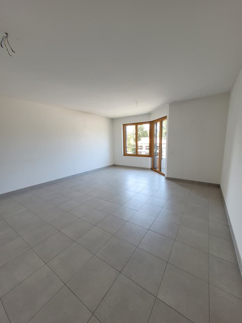 Luminoso appartamento di 4.5 locali con balcone a Mendrisio (10)
