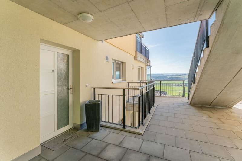 Vista da sogno: appartamento terrazza 4 ½ locali in una zona tranquilla (5)