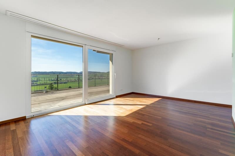 Vista da sogno: appartamento terrazza 4 ½ locali in una zona tranquilla (10)