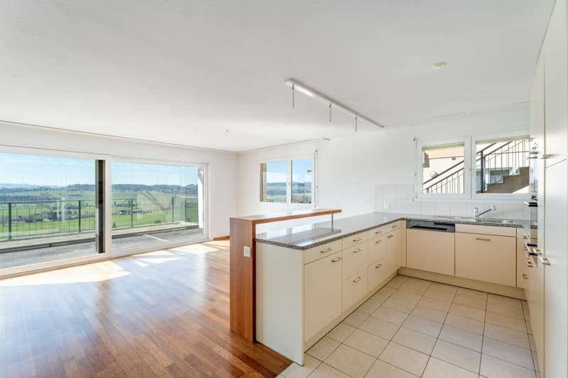 Vista da sogno: appartamento terrazza 4 ½ locali in una zona tranquilla (2)