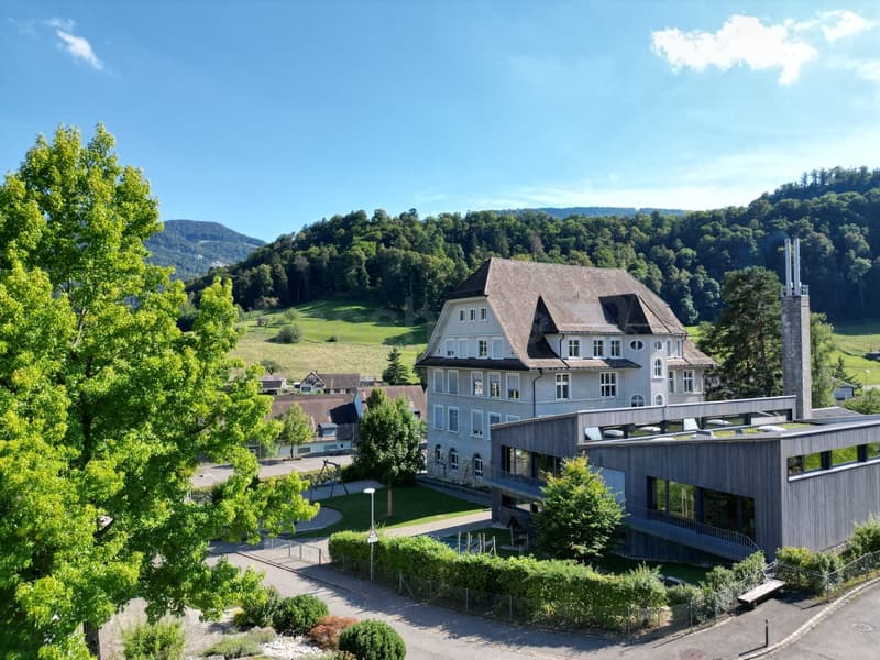 Traumhäuser in Reigoldswil - Neubauprojekt mit Schule gleich nebenan (9)