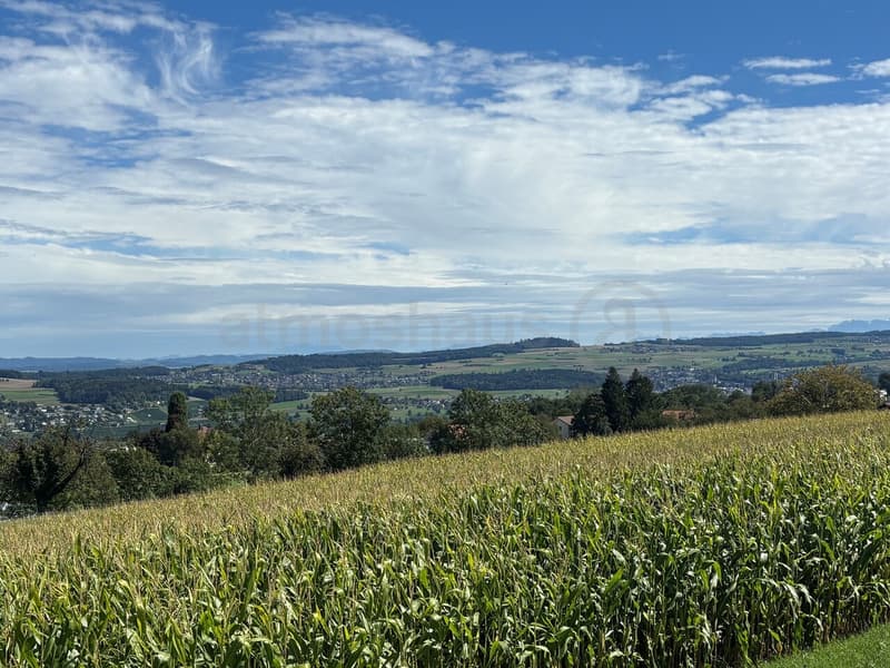 Nur noch 1 EFH verfügbar - Ihr neues Zuhause mit Weitblick im Seetal (10)