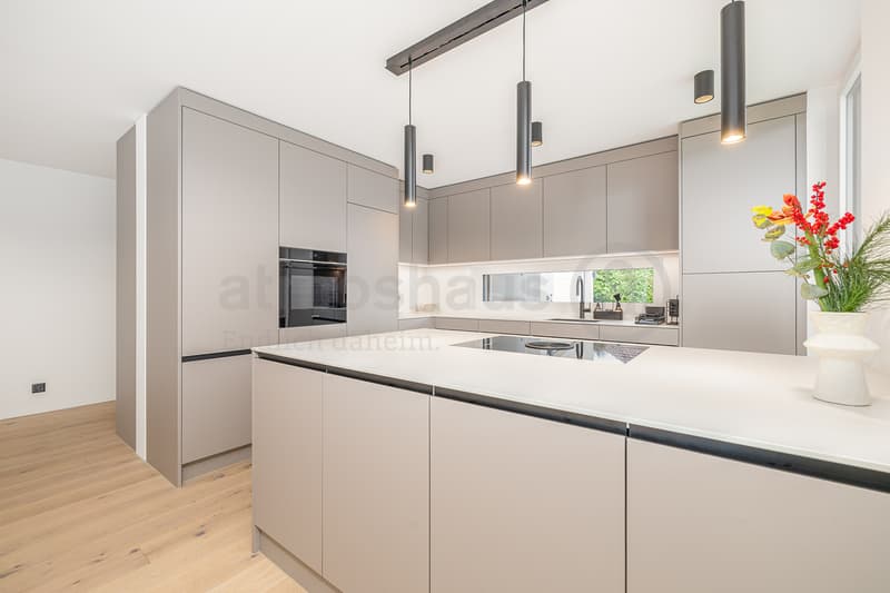 Modernes Doppeleinfamilienhaus mit Dorfcharme in Obfelden ZH (5)